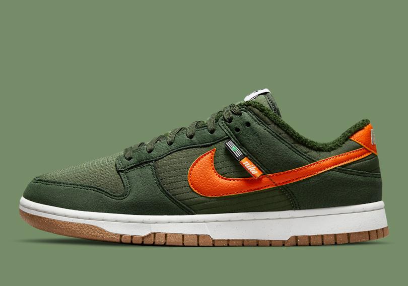 Nike-Dunk-Low-DD3358-300-8